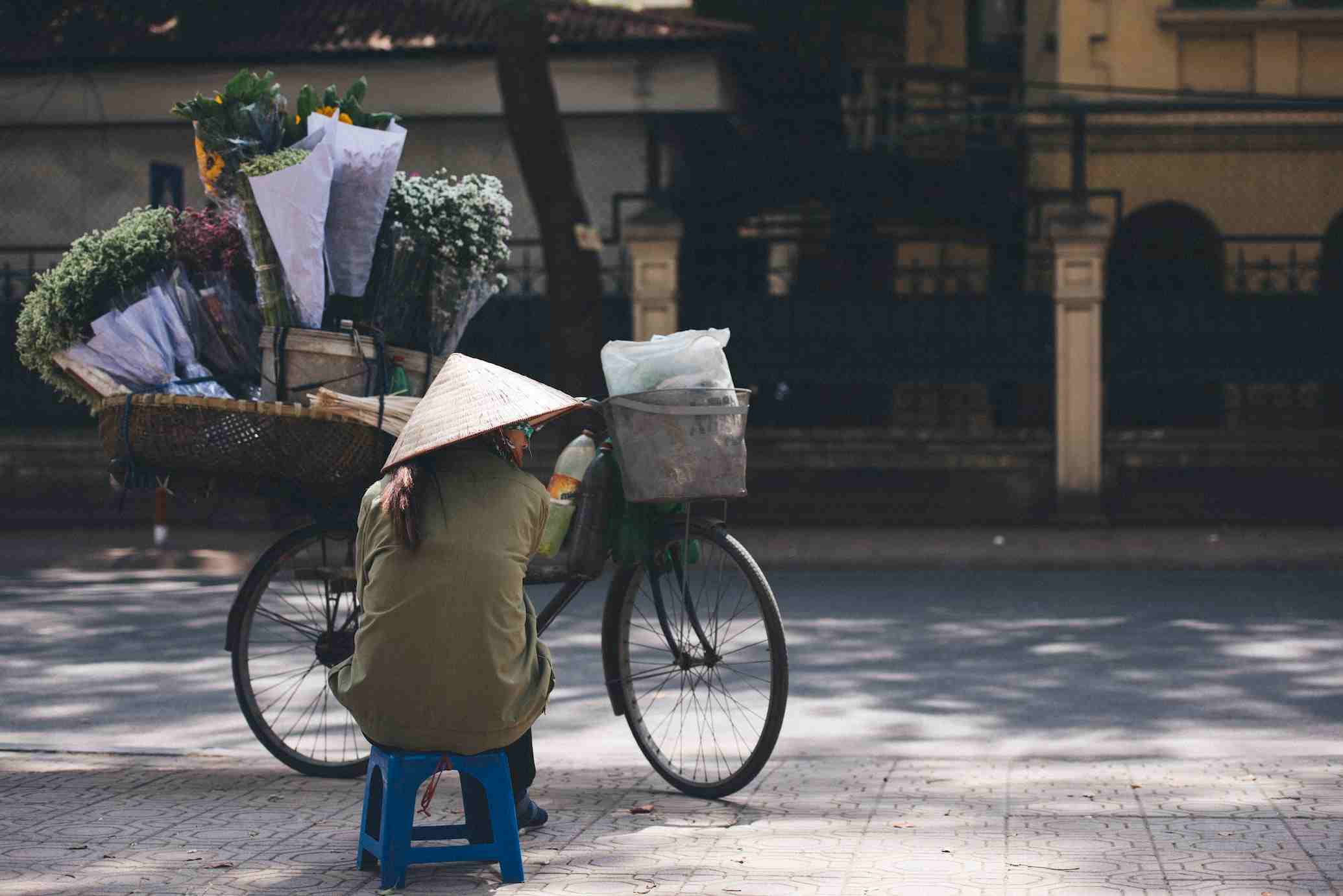 Vietnam Consumer Behavior