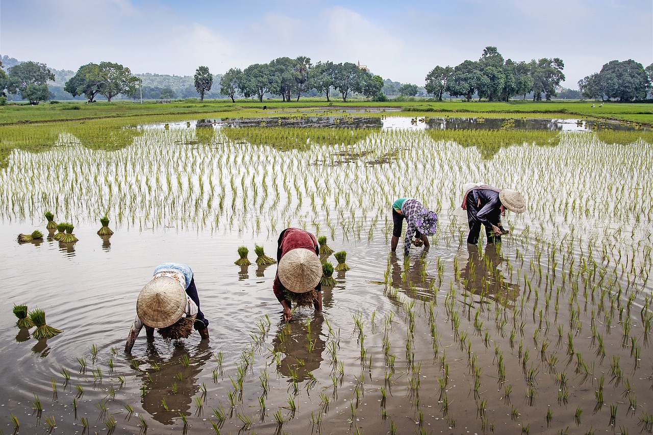 Agriculture